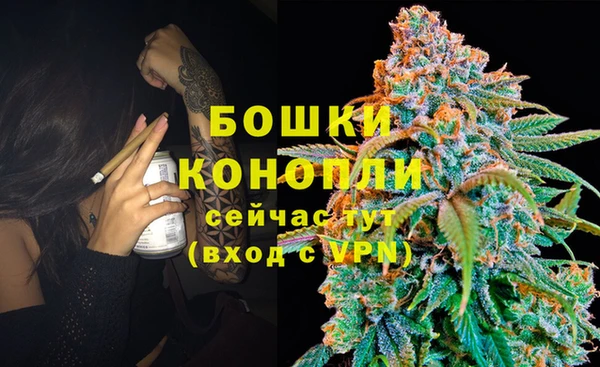 индика Вязьма