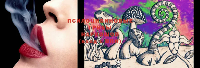 Псилоцибиновые грибы Psilocybine cubensis  Партизанск 